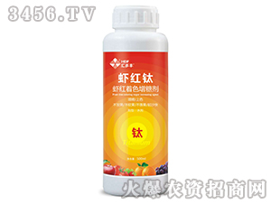 �r�t��ɫ���Ǆ�-�r�t�-�R���S