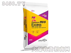 ⛶��-ʥ���m-���W