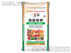 �����@�22-3-24-����-�������