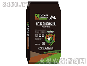 �VԴ�S�����-����-����