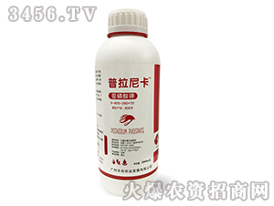 �������-�����Ῠ-��ɫ�r(n��ng)�I(y��)