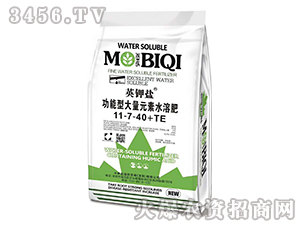 �����ʹ���Ԫ��ˮ�ܷ�11-7-40+TE-Ӣ��}-����}