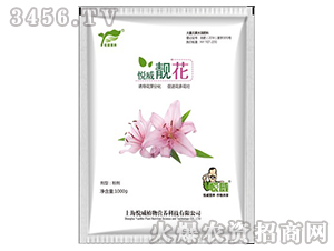 �����n����1000g��-����