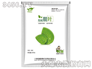 �����n�~��1000g��-����