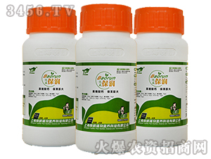 ��������-����