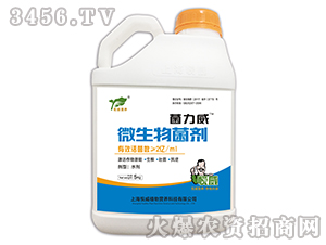 ΢�������-������-����