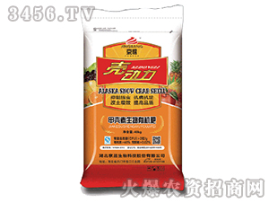 ���ɻ���-����(d��ng)��