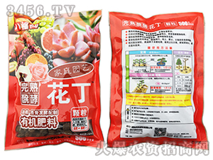 ��ͥ�@ˇ���ϣ��w����-����-�˸���