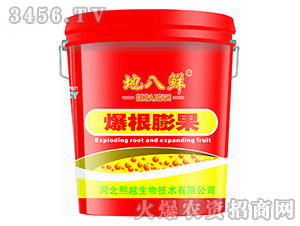 �������-�ذ��r-��Խ����