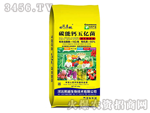 ̼���}��|��-��������-��Խ����