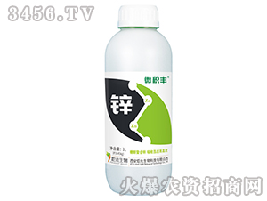 �Ǵ������\-΢�e�S-���