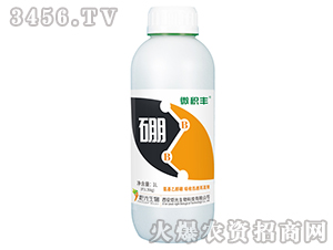 �����Ҵ���-΢�e�S-���