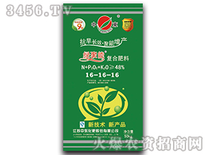 ��(f��)�Ϸ���16-16-16-�G����-�Ж|