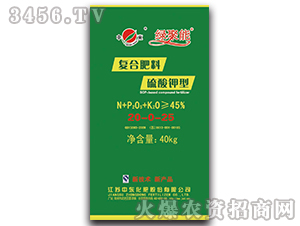 ������͏�(f��)�Ϸ���20-0-25-�G����-�Ж|