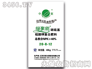 ����⛏�(f��)�Ϸ���20-8-12���������-�G����-�Ж|