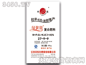 ��(f��)�Ϸ���27-9-9-�G����-�Ж|