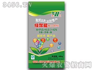 ��(f��)�Ϸ���16-26-6-�G����-����