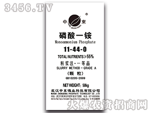 ����һ�@11-44-0-�Ж|