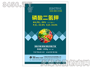 ��������-����