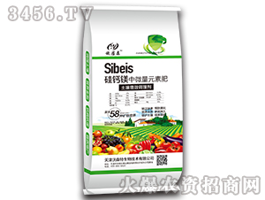 ���}�V��΢��Ԫ�ط�-ʩ��ɭ-��ɭ��