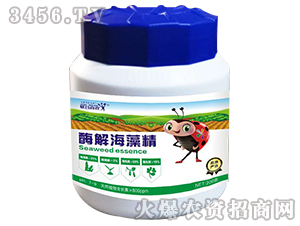 ø�⺣�徫-(li��n)��ϲ�r(n��ng)