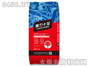 ������������-����ʮ��-���R