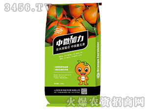 ��΢��Ԫ�ط�-���R