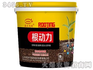 ������-���R