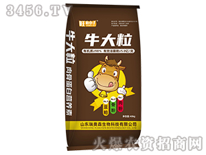 ��ǵ��נI(y��ng)�B(y��ng)Һ-ţ����-���Wɭ