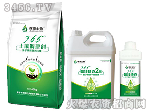 365�������3-�ں�����