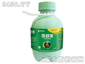 ������-�ں�����