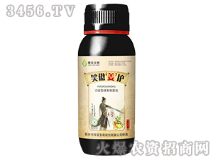 Ц�����o(h��)-�ں�����