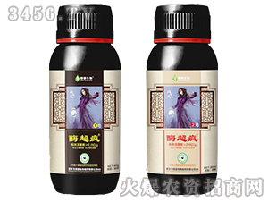 ø����-�ں�����