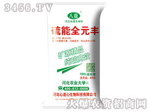 ����ȫԪ�S-���B��