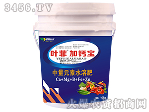 ����Ԫ��ˮ�ܷʣ�10kg��-�~�Ƽ��}��-�°��~��