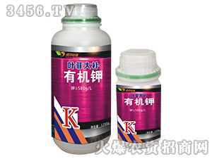 �ЙC�-�~�ƴ��a-�°��~��