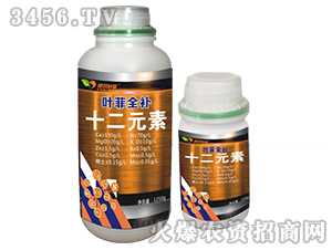 ʮ��Ԫ��-�~��ȫ�a-�°��~��