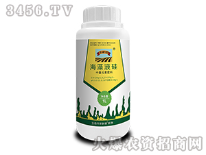 �S�������Һ��-��ٺ�