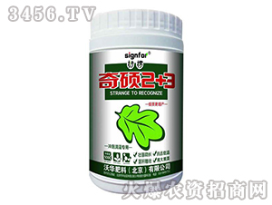 ��T2+3���_ʩ��Ȍ��ã�-����-���A����