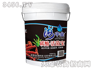 ̼ø�������-���н�-�Z����