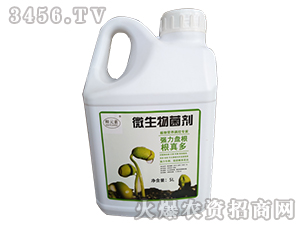 Һ�w΢�������-�Ԫ�ط���