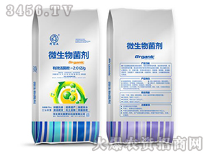 2�|΢�������-�Ԫ�ط���