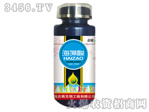 ������-����