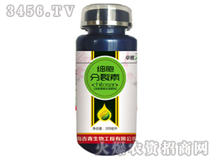 ��(x��)��������-���� 