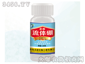 ������-׿��-����