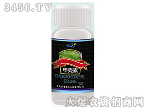 �ך���-׿��-����