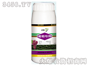 ���ь���-׿��-����