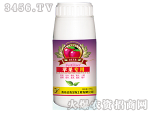 �O������-׿��-����