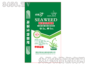 �����������-׿��-����