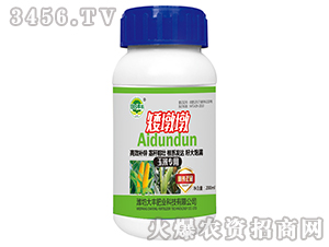 ���ն�-��@���S-���S�ʘI(y��)